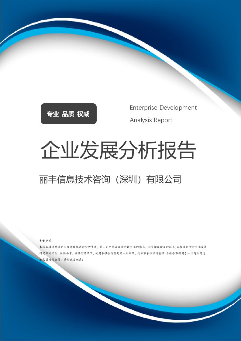 麗豐信息技術咨詢（深圳）有限公司企業發展分析報告